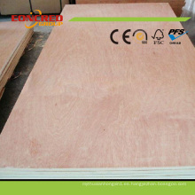 Plywood fenólico / Hoja de madera contrachapada / Bintanfor Plywood / Okoume Plywood